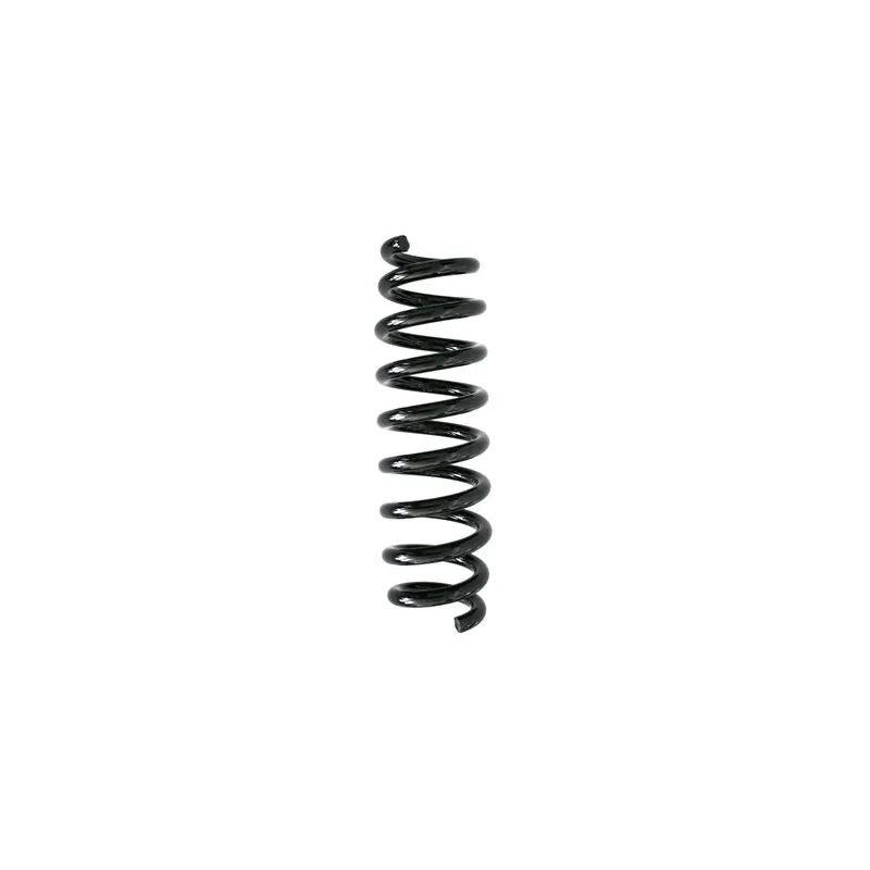 Ressort de suspension SPIDAN 86769