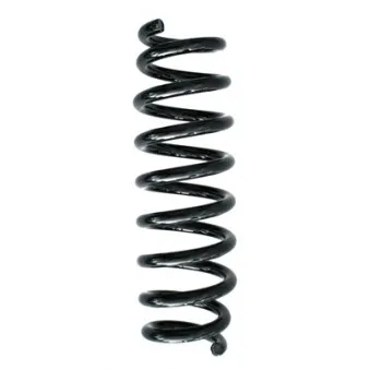 Ressort de suspension SPIDAN 86771