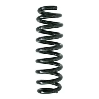 Ressort de suspension SPIDAN 86772