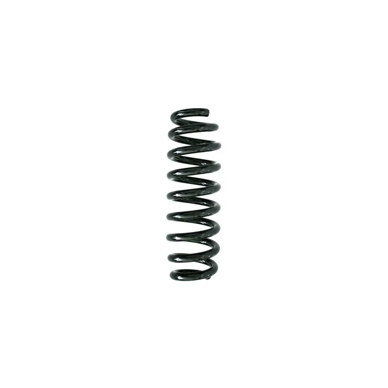 Ressort de suspension SPIDAN 86772