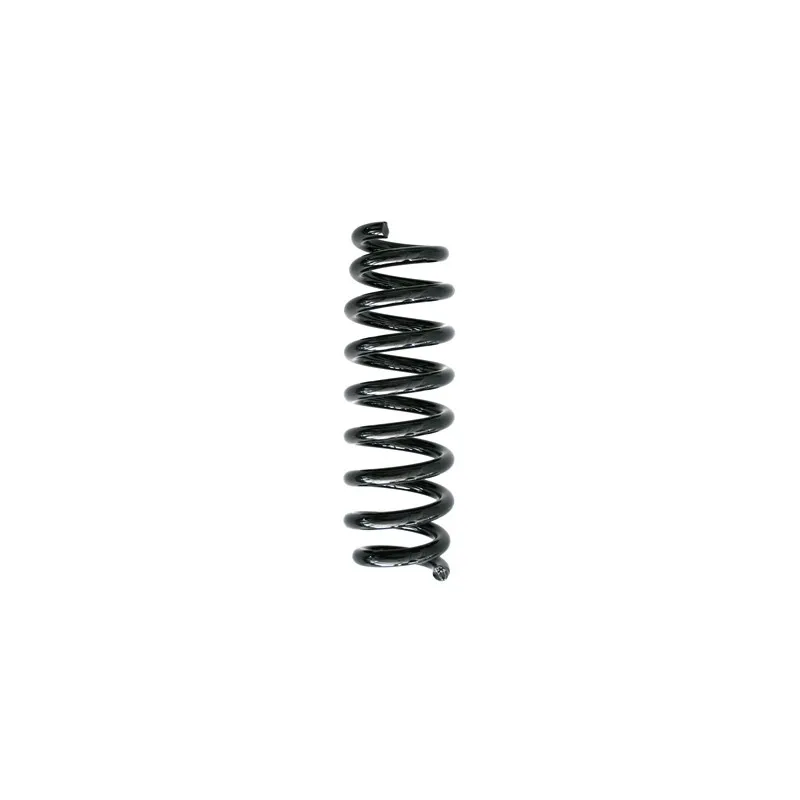 Ressort de suspension SPIDAN 86773