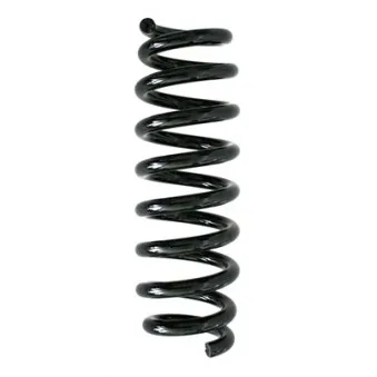 Ressort de suspension SPIDAN 86774