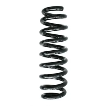 Ressort de suspension SPIDAN 86775