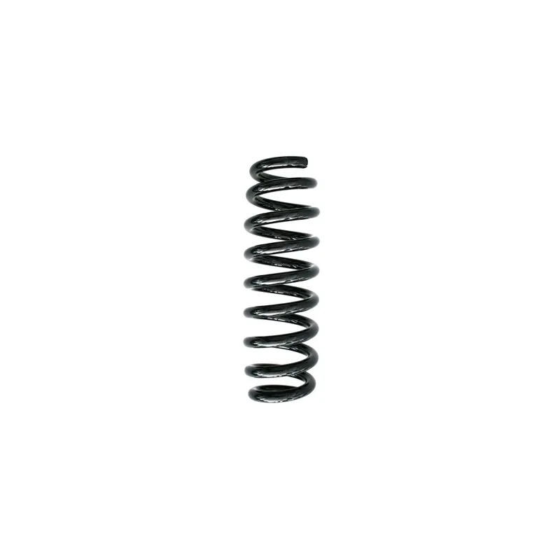 Ressort de suspension SPIDAN 86775