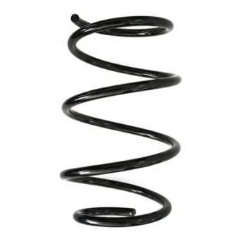 Ressort de suspension SPIDAN 86776