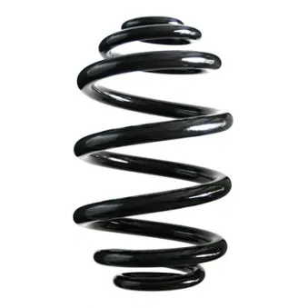 Ressort de suspension SPIDAN