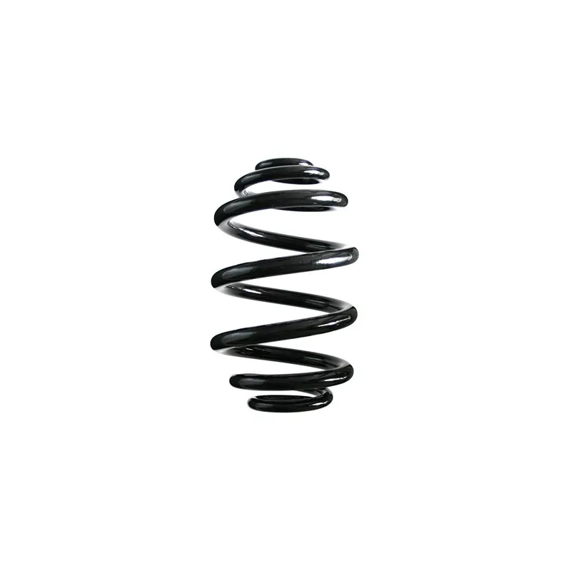 Ressort de suspension SPIDAN 86789