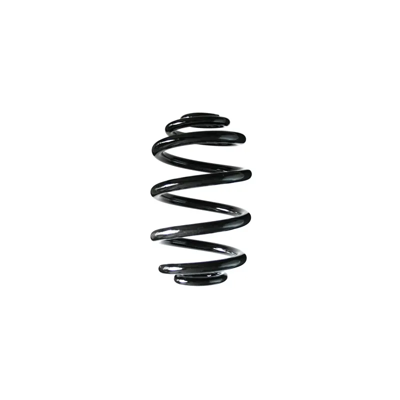 Ressort de suspension SPIDAN 86790