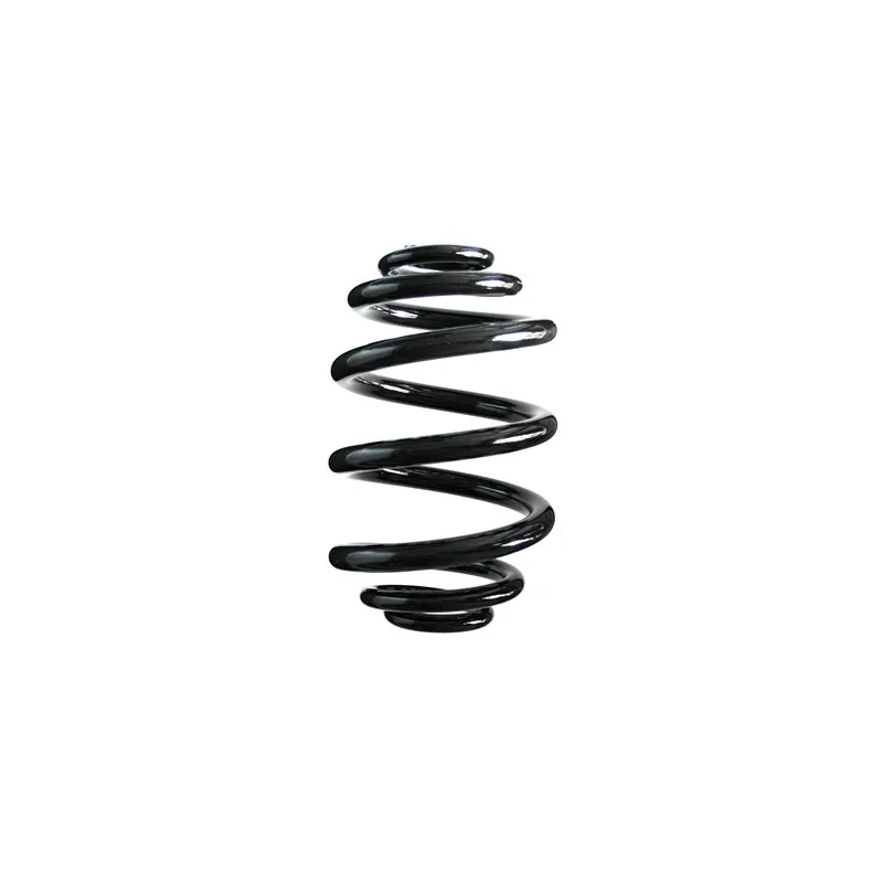 Ressort de suspension SPIDAN 86791