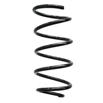 Ressort de suspension SPIDAN 86794