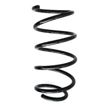 Ressort de suspension SPIDAN 86796