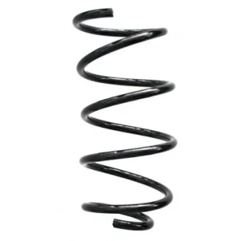 Ressort de suspension SPIDAN 86797