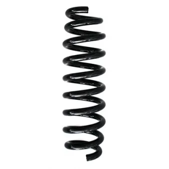 Ressort de suspension SPIDAN 86799