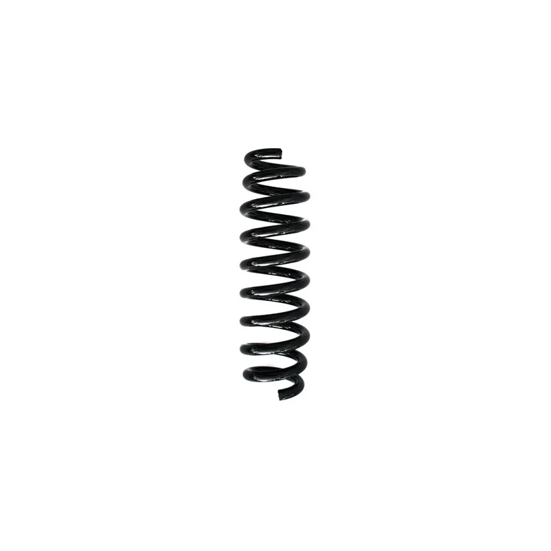 Ressort de suspension SPIDAN 86799