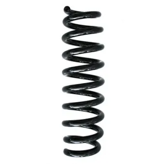 Ressort de suspension SPIDAN 86800