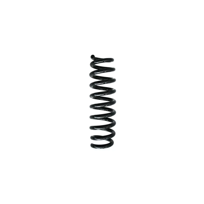 Ressort de suspension SPIDAN 86800