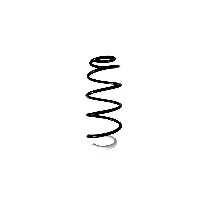 Ressort de suspension SPIDAN 86803