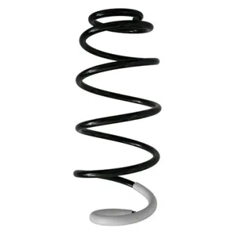 Ressort de suspension SPIDAN 86804