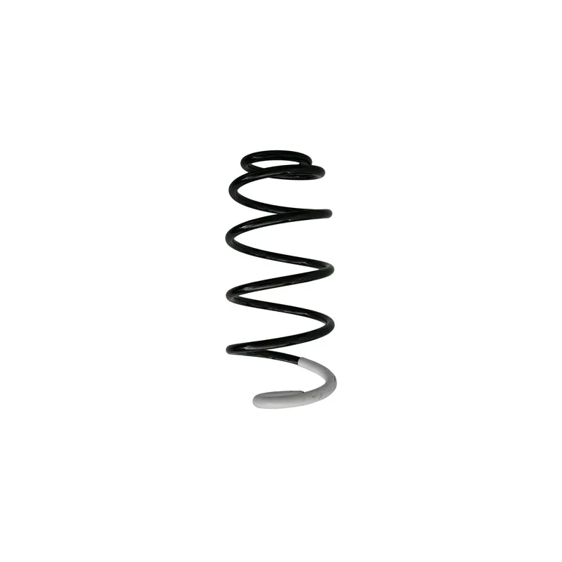 Ressort de suspension SPIDAN 86805