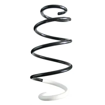 Ressort de suspension SPIDAN 86806