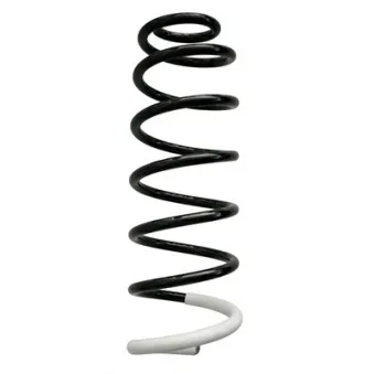 Ressort de suspension SPIDAN 86807