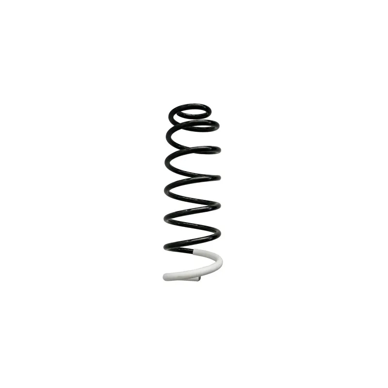 Ressort de suspension SPIDAN 86807