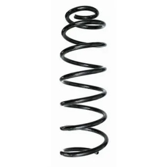 Ressort de suspension SPIDAN 86808