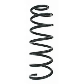 Ressort de suspension SPIDAN 86809