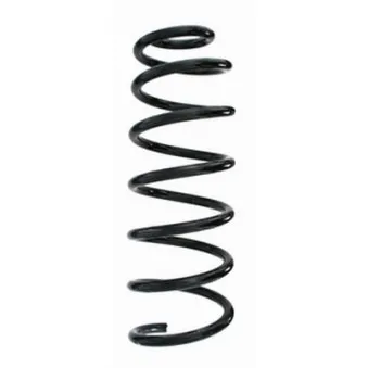 Ressort de suspension SPIDAN 86811