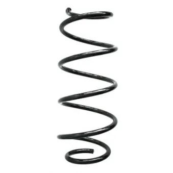 Ressort de suspension SPIDAN 86812