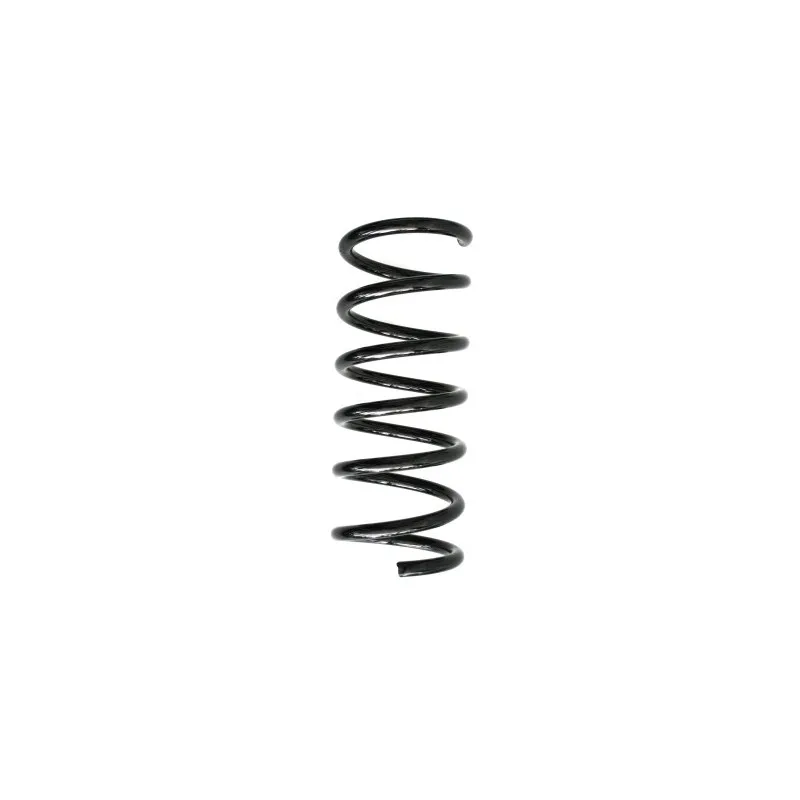 Ressort de suspension SPIDAN 86819