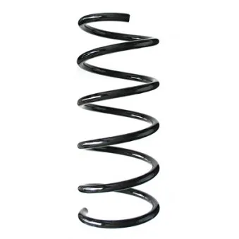 Ressort de suspension SPIDAN 86827