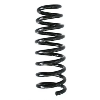 Ressort de suspension SPIDAN 86832