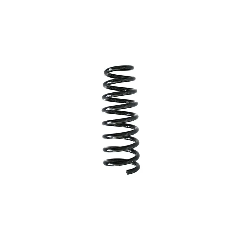 Ressort de suspension SPIDAN 86832