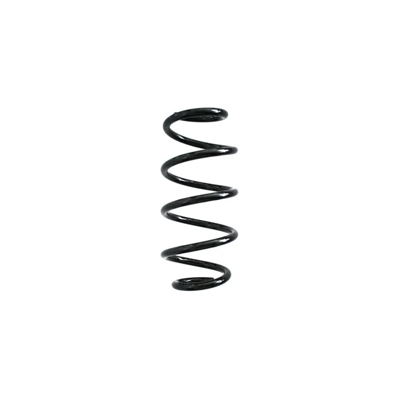 Ressort de suspension SPIDAN 86842