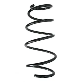 Ressort de suspension SPIDAN 86846