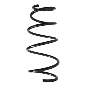Ressort de suspension SPIDAN 86847