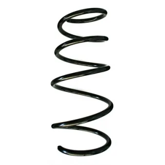 Ressort de suspension SPIDAN 86850