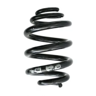 Ressort de suspension SPIDAN 86852