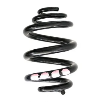 Ressort de suspension SPIDAN 86853