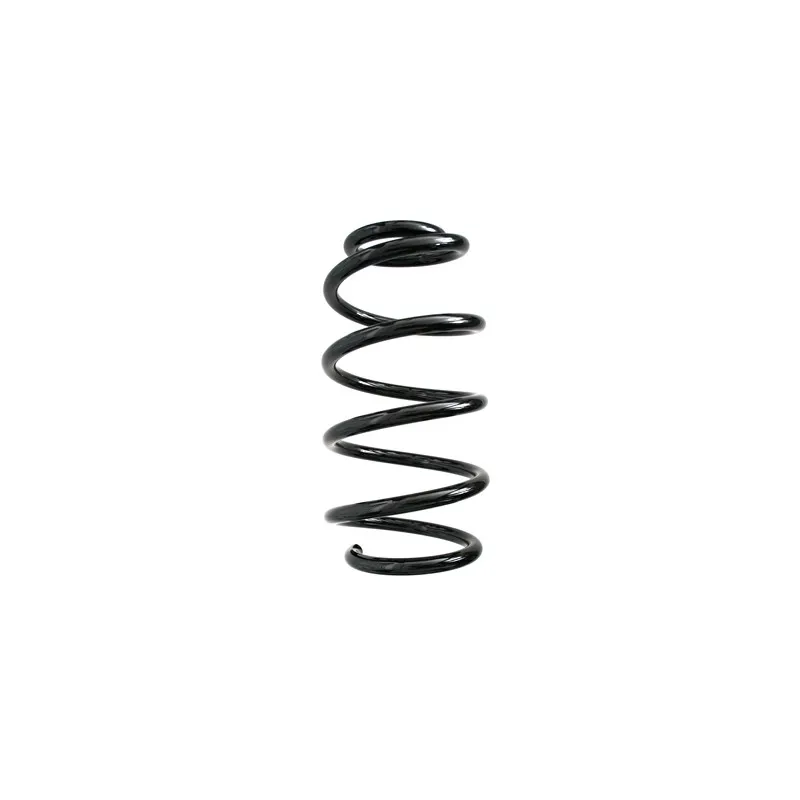 Ressort de suspension SPIDAN 86856
