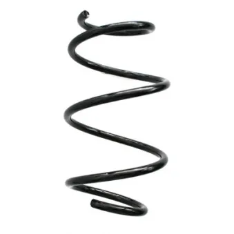 Ressort de suspension SPIDAN 86870