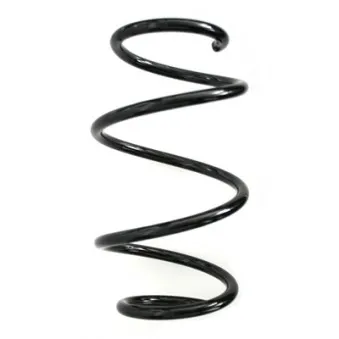 Ressort de suspension SPIDAN 86875