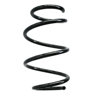 Ressort de suspension SPIDAN 86877
