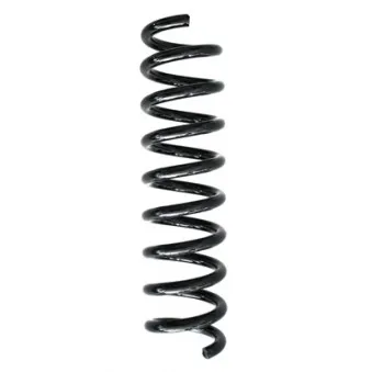 Ressort de suspension SPIDAN 86878