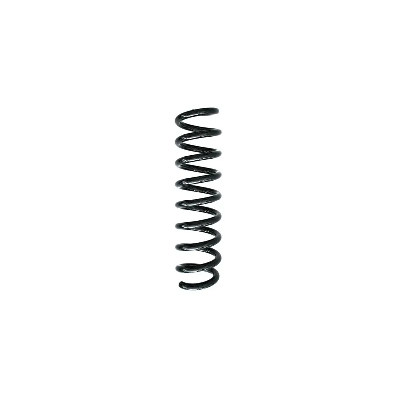 Ressort de suspension SPIDAN 86879