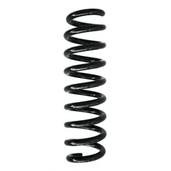Ressort de suspension SPIDAN 86881