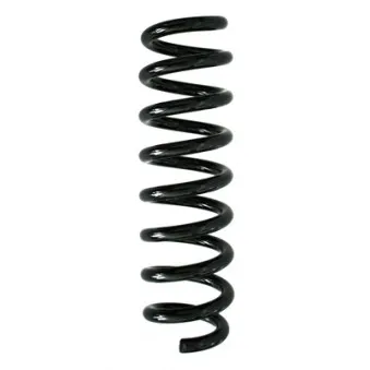Ressort de suspension SPIDAN 86882