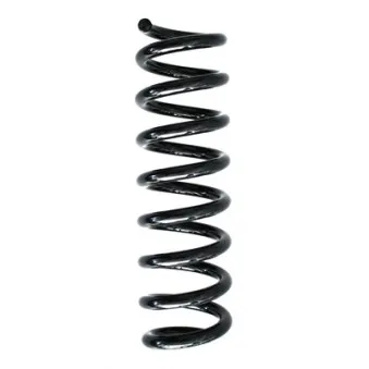 Ressort de suspension SPIDAN 86883