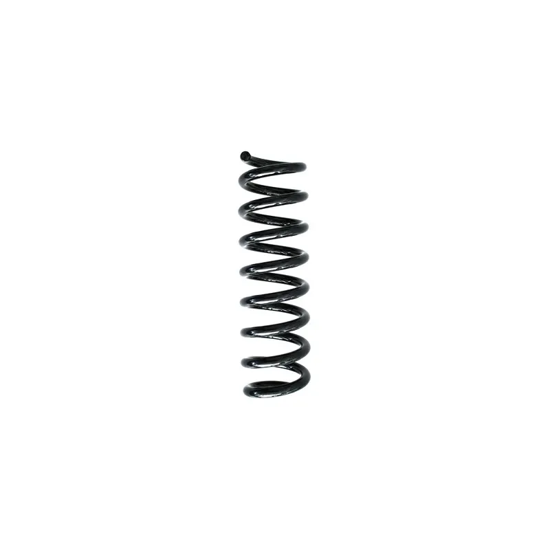Ressort de suspension SPIDAN 86883